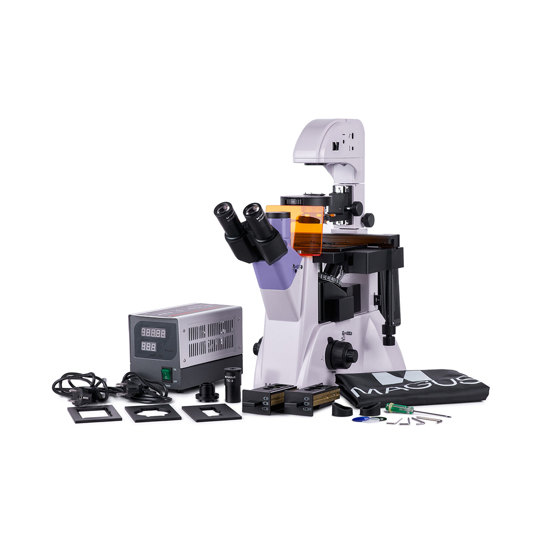 Микроскоп биологический Magus Lum VD500