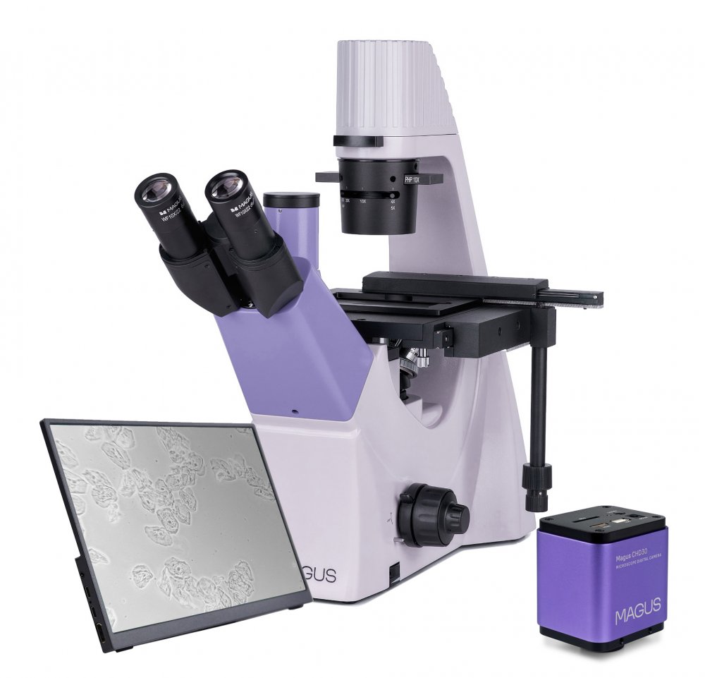 Микроскоп биологический инвертированный цифровой Magus Bio VD300 LCD