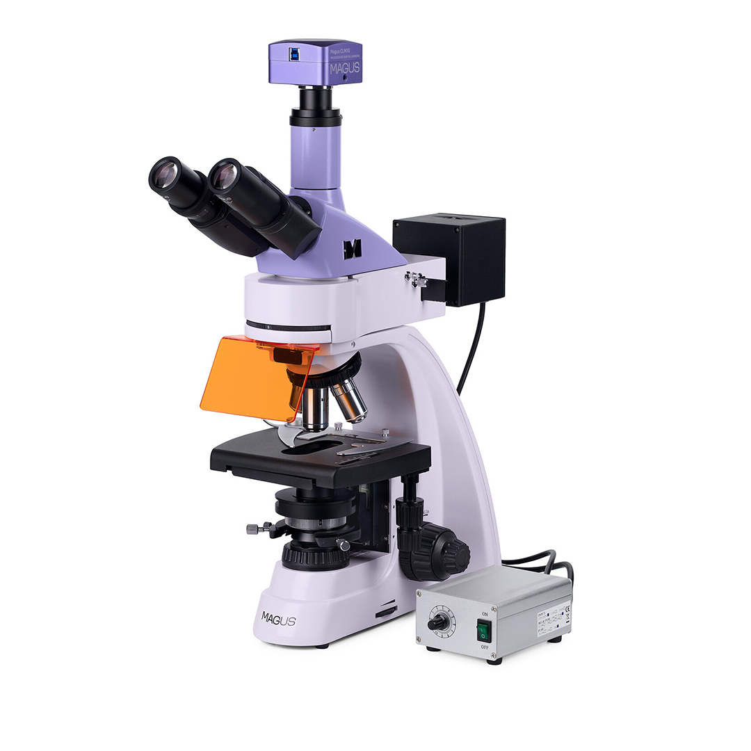 Микроскоп биологический Magus Lum D400L
