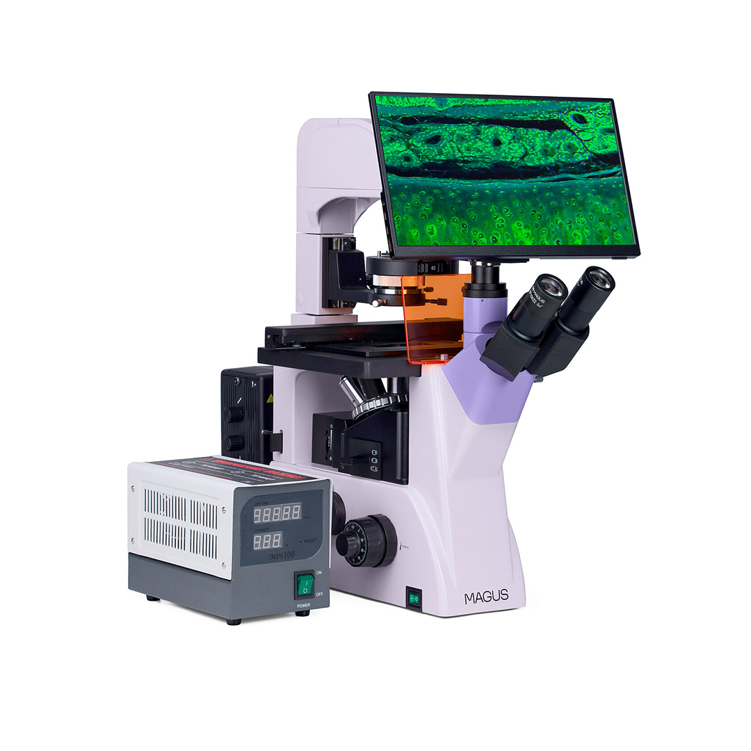 Микроскоп люминесцентный инвертированный цифровой Magus Lum VD500 LCD