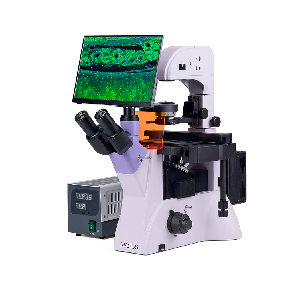 Микроскоп люминесцентный инвертированный цифровой Magus Lum VD500 LCD