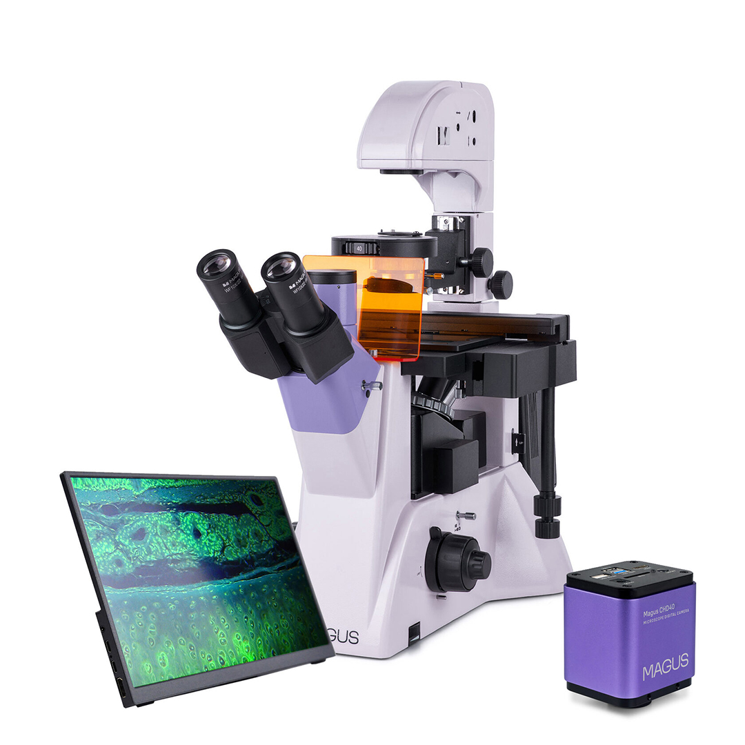 Микроскоп люминесцентный инвертированный цифровой Magus Lum VD500 LCD