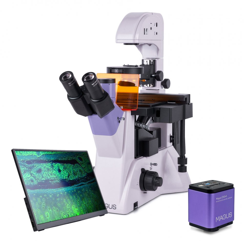 Микроскоп люминесцентный инвертированный цифровой Magus Lum VD500 LCD