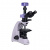 Микроскоп биологический Magus Pol D800
