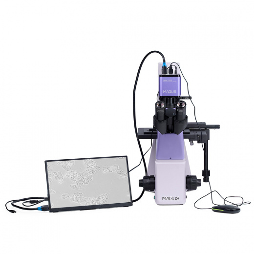 Микроскоп биологический инвертированный цифровой Magus Bio VD300 LCD
