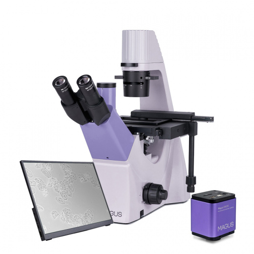 Микроскоп биологический инвертированный цифровой Magus Bio VD300 LCD