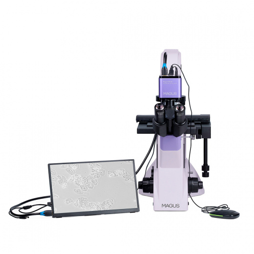 Микроскоп биологический инвертированный цифровой Magus Bio VD350 LCD