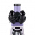 Микроскоп биологический цифровой Magus Bio D250T