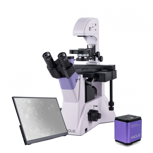 Микроскоп биологический инвертированный цифровой Magus Bio VD350 LCD