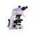 Микроскоп люминесцентный Magus Lum 450L
