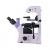 Микроскоп биологический Magus Bio VD350