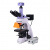 Микроскоп биологический Magus Lum D400L