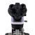 Микроскоп биологический Magus Bio 240T