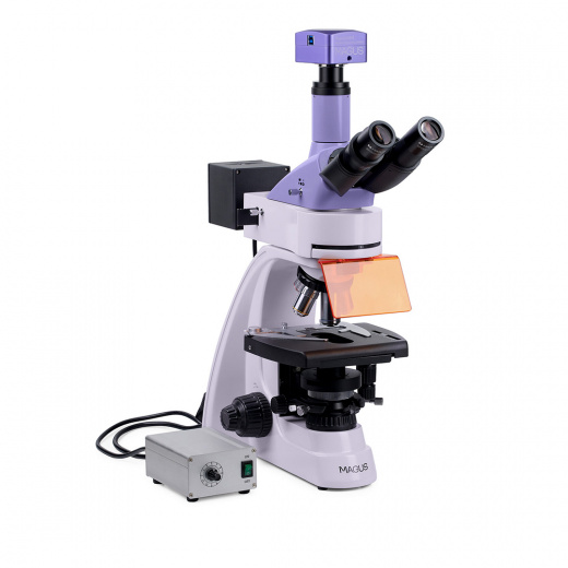 Микроскоп биологический Magus Lum D400L