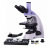 Микроскоп биологический цифровой Magus Bio D230TL