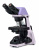Микроскоп биологический Magus Bio 240B