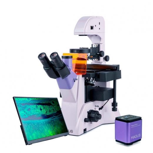 Микроскоп люминесцентный инвертированный цифровой Magus Lum VD500L LCD