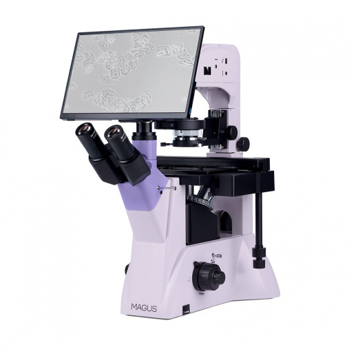 Микроскоп биологический инвертированный цифровой Magus Bio VD350 LCD