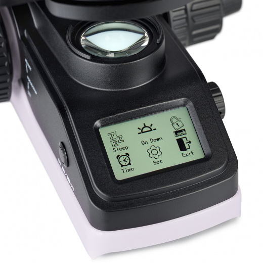 Микроскоп биологический Magus Bio 240B